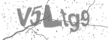 visual captcha